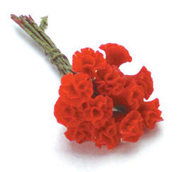 Miniature Red Carnations