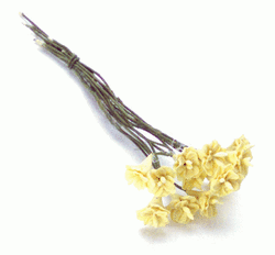 Miniature Yellow Camellia Stems