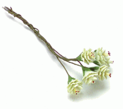 Miniature Jade Prunus Stems