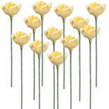 Miniature Small Yellow Rose Stems
