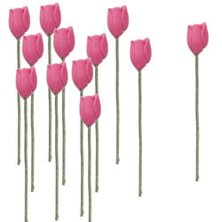 Miniature Rose Pink Tulip Stems