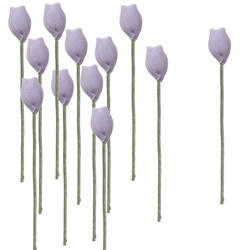 Miniature Lavender Tulip Stems