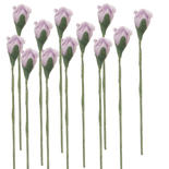Miniature Lavender Rose Stems