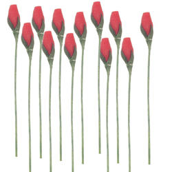 Miniature Red Rosebud Stems