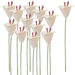 Miniature White Easter Lily Stems