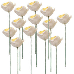 Miniature White Rose Stems