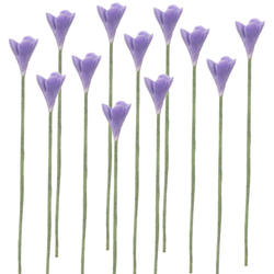 Miniature Purple Wildflower Stems