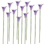 Miniature Lavender Wildflower Stems