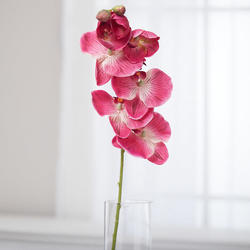 Beauty Pink Artificial Moth Orchid Spray