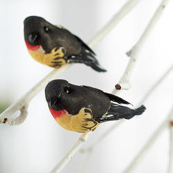 Miniature Baltimore Oriole Mushroom Birds