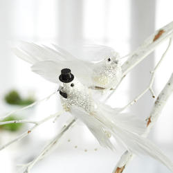 Glittered Bride and Groom Dove Birds