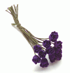 Miniature Purple Tulip Stems