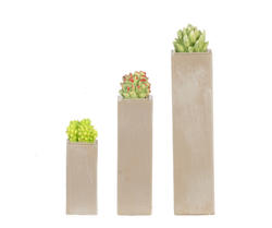Dollhouse Miniature Succulents on Tall Square Pillar Planter Set