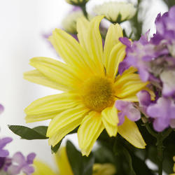 Yellow Artificial Daisy and Lilac Bush