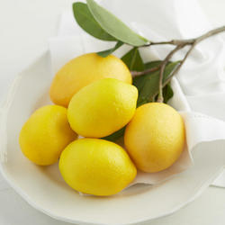 Artificial Lemons and Branch Set