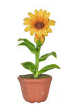 Dollhouse Miniature Potted Sunflower