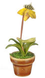 Dollhouse Miniature Potted Yellow Paphiopedilum Orchid