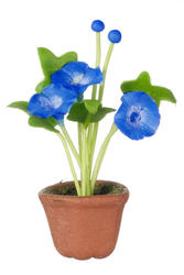 Dollhouse Miniature Potted Blue Morning Glory