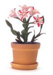 Dollhouse Miniature Potted Magic Pink Lilies
