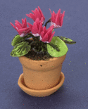 Dollhouse Miniature Potted Pink Cyclamen