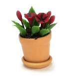 Dollhouse Miniature Potted Red And Black Petunias