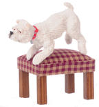 Dollhouse Miniature White West Highland Terrier