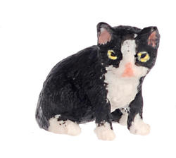 Dollhouse Miniature Black With White Socks Sitting Mini Kitten