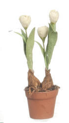 Dollhouse Miniature Green Tulips in Terra Cotta Pot