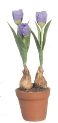 Dollhouse Miniature Purple Tulips in Terra Cotta Pot