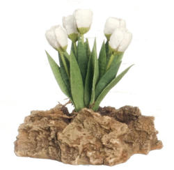 Miniature White Tulip Rock Garden