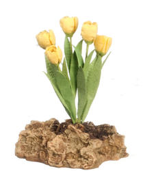 Miniature Yellow Tulip Rock Garden