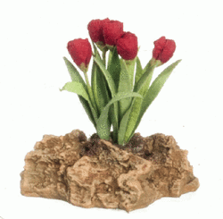 Miniature Red Tulip Rock Garden