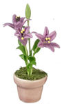 Dollhouse Miniature Lavender Lillies In A Pot