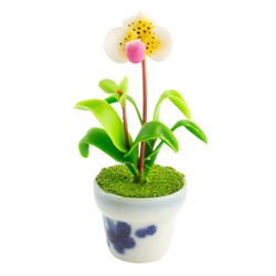 Dollhouse Miniature Potted White Paphopidilum Orchid