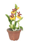Dollhouse Miniature Potted Yellow and Red Oncidium Orchid