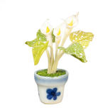 Dollhouse Miniature White Calla Lily In A Pot