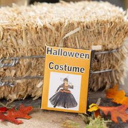 Miniature Halloween Witch Costume Box