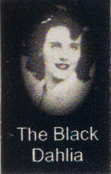 Dollhouse Miniature The Black Dahlia Biography