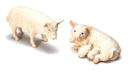 Dollhouse Miniature Pig Family