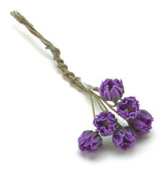 Miniature Purple Water Lily Bundle
