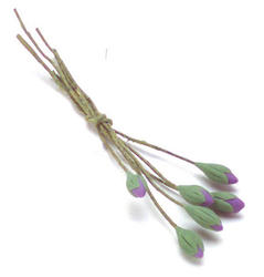 Miniature Purple Closed Water Lily Bundle
