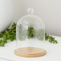 Rustic Glass Cloche with Wood Base
