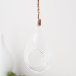 Glass Bulb Terrarium Ornament