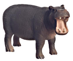 Miniature Hippopotamus