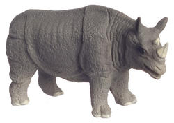 Miniature Rhinoceros