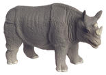 Miniature Rhinoceros