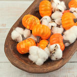 Mini Artificial Pumpkins and Cotton Bolls