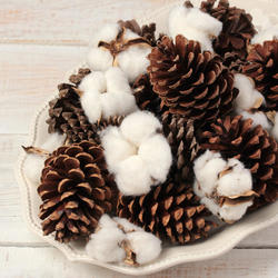 Natural Pinecones and Cotton Bolls Assortment