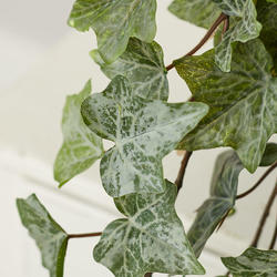 Real Touch Lifelike Cascading Frosted Ivy Bush