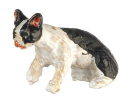 Miniature Stalking Black And White Cat